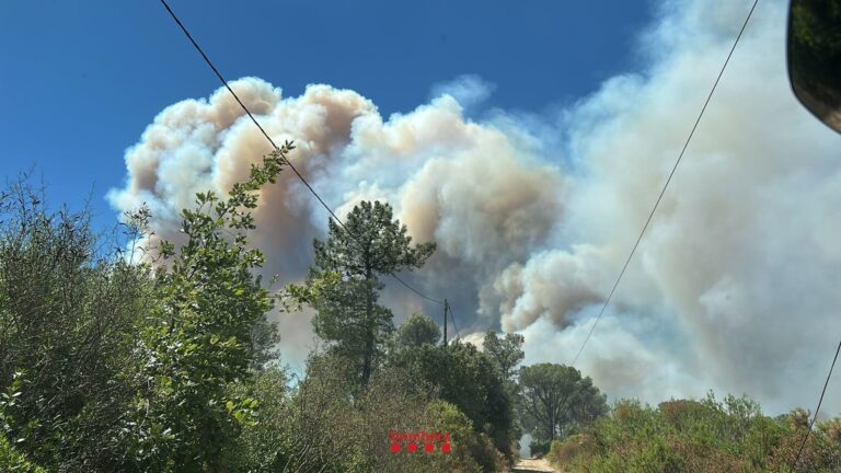 Incendie en Catalogne : 150 enfants confinés, le vent favorise des foyers secondaires