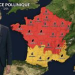Dispersion massive des pollens en France en raison de la chaleur et du soleil ce samedi.