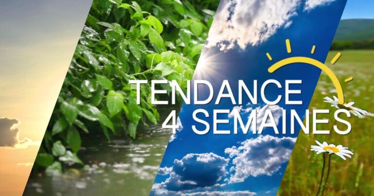 Tendance météo : chaleur et sécheresse persistantes attendues pour juillet.