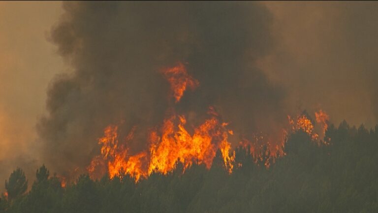 Une application permet l’évacuation rapide de 1 700 campeurs lors d’un incendie.