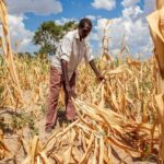 El Niño augmente le risque de phénomènes climatiques extrêmes, selon les experts.