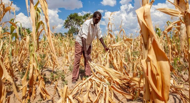 El Niño augmente le risque de phénomènes climatiques extrêmes, selon les experts.