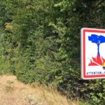 Neuf massifs forestiers du Vaucluse déclarés interdits d&rsquo;accès ce dimanche.