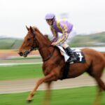 Un ouvrier de chantier sauve un jockey victime d’un malaise cardiaque lors d’une course.