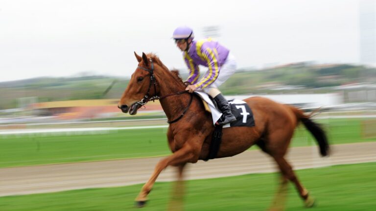 Un ouvrier de chantier sauve un jockey victime d’un malaise cardiaque lors d’une course.