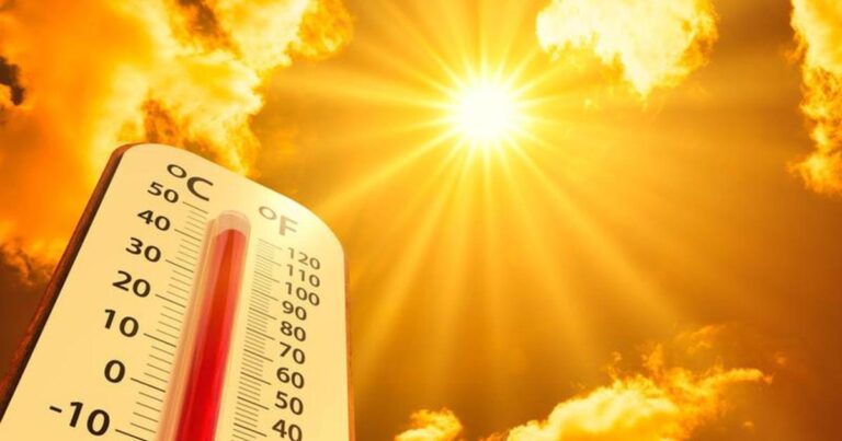 Canicule de juillet : prévisions d’une intensification et d’une durée prolongée en France.