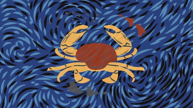 Horoscope Cancer : prévisions astrologiques pour l’été 2026 en France.