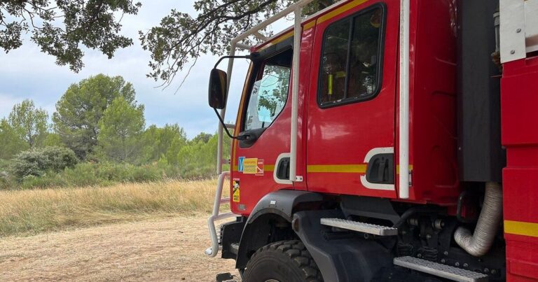Incendies en Vaucluse : plus de 2000 m² de broussailles brûlés ce dimanche