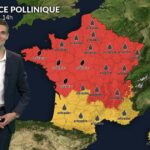 Pollens et allergies : canicule et vent augmentent le risque allergique en France.