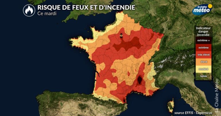 Canicule en France : le risque d’incendies atteint un niveau critique national