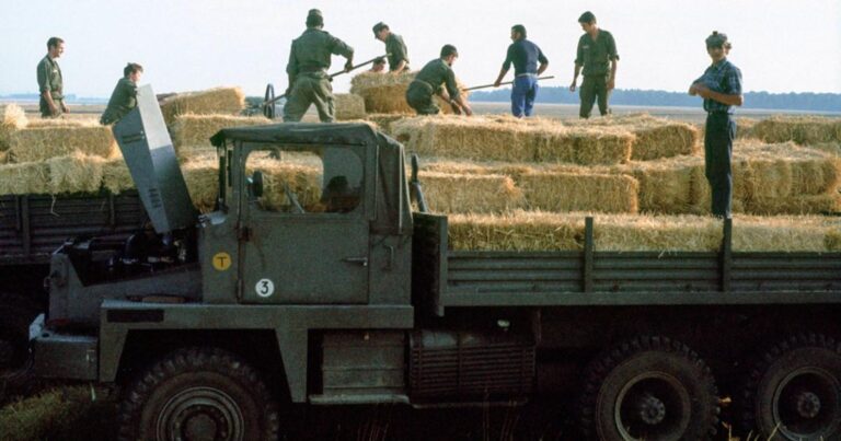 Sécheresse de 1976 : conséquences sur l’agriculture et la gestion de l’eau en France