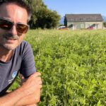 Une commune des Pyrénées met en place des mesures contre l&rsquo;ambroisie, plante invasive allergène.