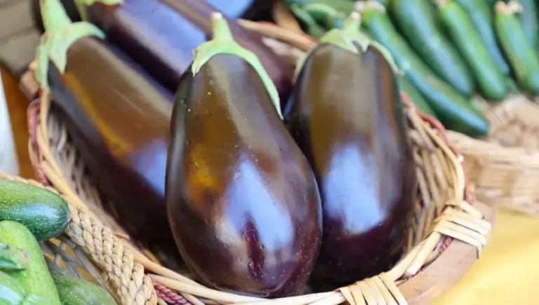 Aubergine : techniques de découpe et méthodes de cuisson recommandées par des chefs.