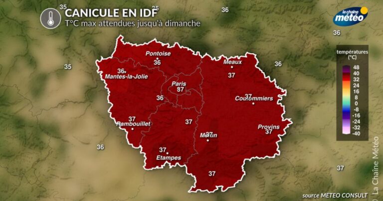 Canicule en Île-de-France : alertes météorologiques pour des journées difficiles à venir.