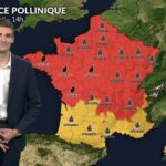 Risque allergique maximal lié aux pollens dans plusieurs régions de France ce mercredi.