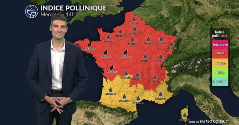 Risque allergique maximal lié aux pollens dans plusieurs régions de France ce mercredi.