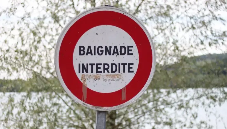 Cyanobactéries en Mayenne : l’ARS alerte sur un environnement propice cette saison.