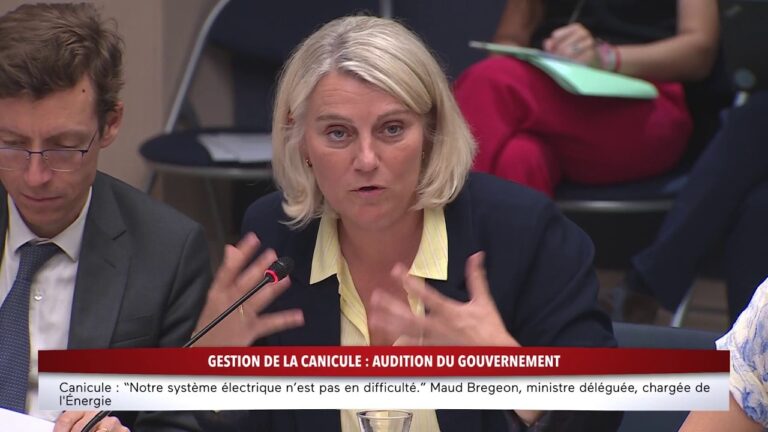 Canicule : les ministres évoquent la surmortalité et ses conséquences sur l’agriculture et l’éducation.