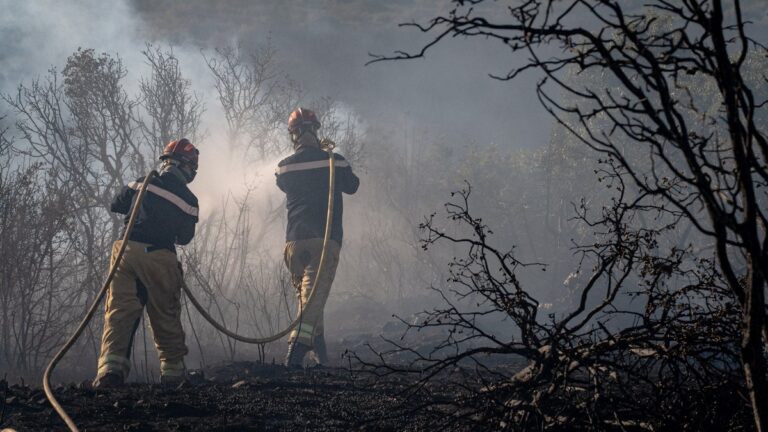 Un sapeur-pompier volontaire de 22 ans décède en intervention sur un feu de forêt en Savoie.