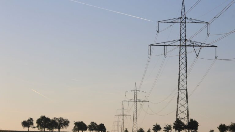 Canicule : le coût réel des coupures d’électricité ignoré par les statistiques officielles