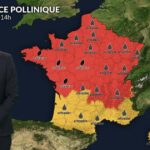 Risque élevé de pollens ce jeudi : la sécheresse affecte les graminées.