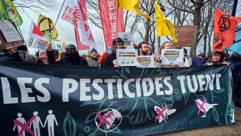 Loi d’urgence agricole : la FNSEA envisage de renoncer à l’acétamipride.