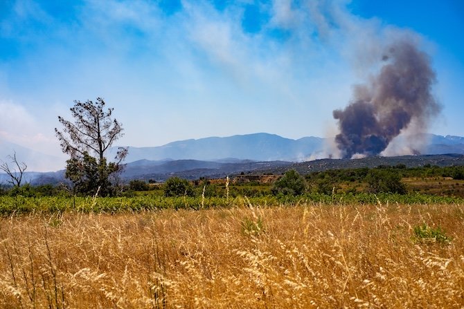 Canicule : des chrétiens lancent une neuvaine de prière œcuménique en réponse à la chaleur.