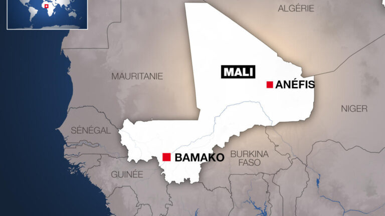 Mali : Attaque du FLA et du Jnim contre un convoi militaire près de Tabankort