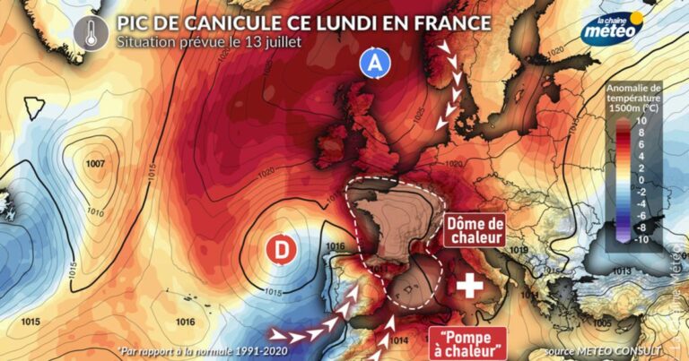 Canicule en France : la fin de l’épisode climatique suscite des inquiétudes chez les agriculteurs.