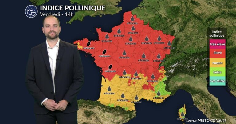 Canicule : risques allergiques élevés malgré quelques orages attendus