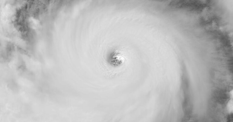 Typhon Bavi : 1 000 mm de pluie attendus près de Taïwan, alertes en vigueur