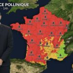 Pollens et allergies : un risque accru en France avec la canicule malgré une végétation stressée.
