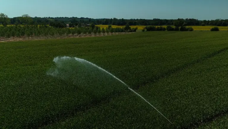 L’État français face à la question de la confiscation des ressources en eau.