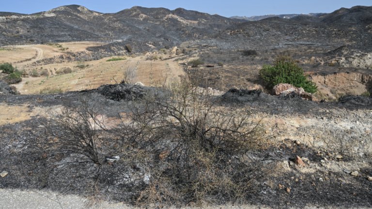 Incendie en Espagne : 6 000 hectares brûlés, plusieurs morts, secours optimistes sur l’évolution