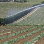 Sécheresse : le Gers impose des restrictions d’eau sur les systèmes Neste et Adour