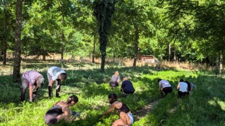 Pamiers : des jeunes s’engagent dans le travail à la ferme d’Emmaüs pour aider la communauté