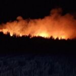Grosse mobilisation des pompiers de Côte-d&rsquo;Or pour un feu de forêt près de Beaune