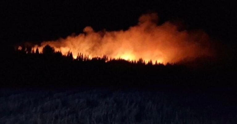 Grosse mobilisation des pompiers de Côte-d’Or pour un feu de forêt près de Beaune