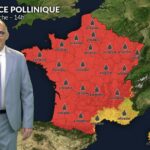 Pollens et allergies : risque élevé en France avec la canicule malgré une végétation stressée