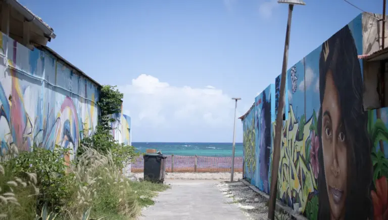 En Guadeloupe, le réseau d’eau en crise affecte les conditions de vie des habitants.