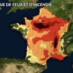 Incendies en France : 25 000 hectares brûlés, Fontainebleau touchée avec 1 000 hectares ravagés.