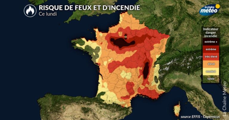 Incendies en France : 25 000 hectares brûlés, Fontainebleau touchée avec 1 000 hectares ravagés.