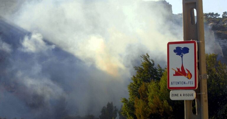 Risque incendie : cinq gestes recommandés pour prévenir les feux de forêt en France