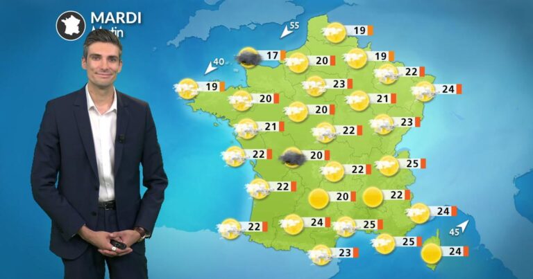 Canicule : températures atteignant 40°C dans le sud-ouest, alertes en cours