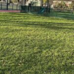 Ponlat-Taillebourg investit 300 000 € pour un city-park et une aire de jeux rénovée