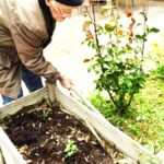 Des activités régulières enrichissent la vie des résidents de l’Ehpad Val de Gers à Masseube.