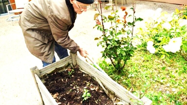 Des activités régulières enrichissent la vie des résidents de l’Ehpad Val de Gers à Masseube.
