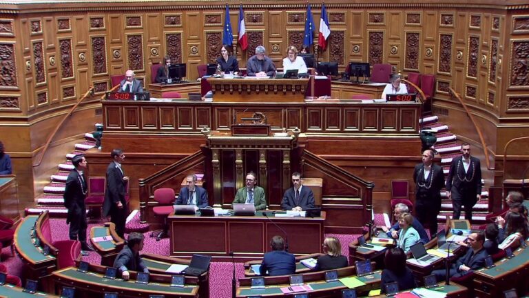 Le Parlement français adopte le projet de loi sur la justice criminelle, précisions sur son contenu.