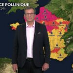 Pollens et allergies : baisse des concentrations polliniques après les orages.