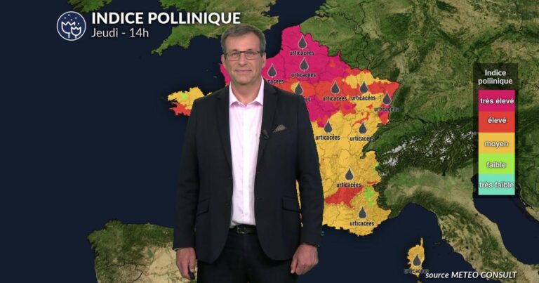 Pollens et allergies : baisse des concentrations polliniques après les orages.